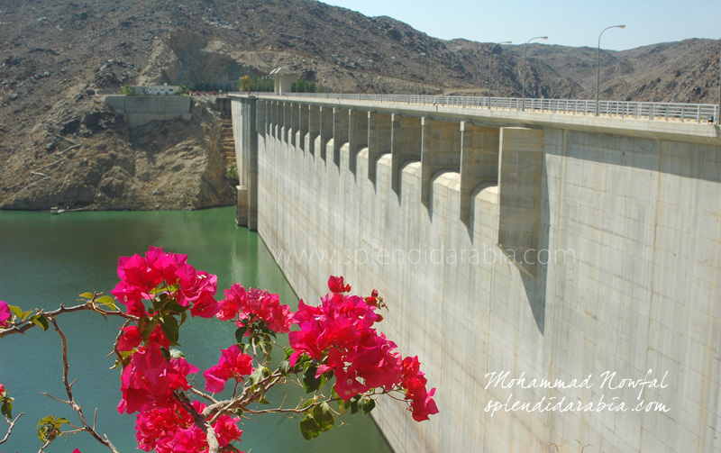King Fahad Dam